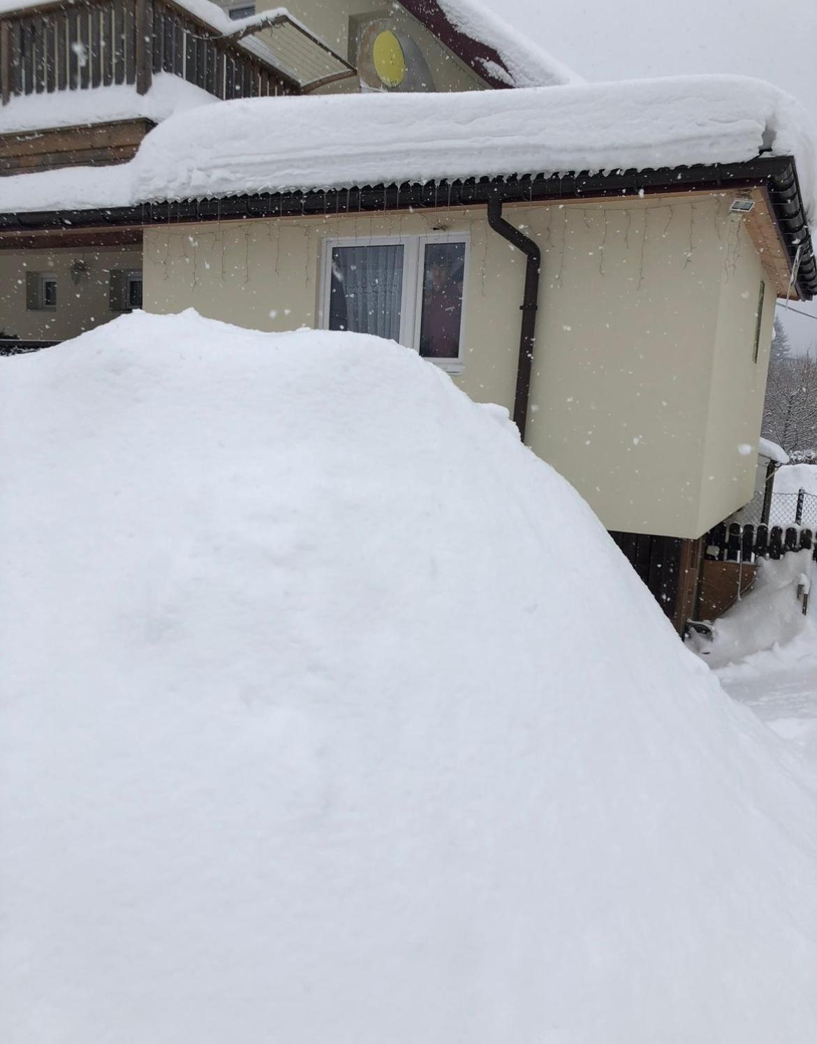 Agroturystyka Dor-Ali U Ali Zubracze ภายนอก รูปภาพ